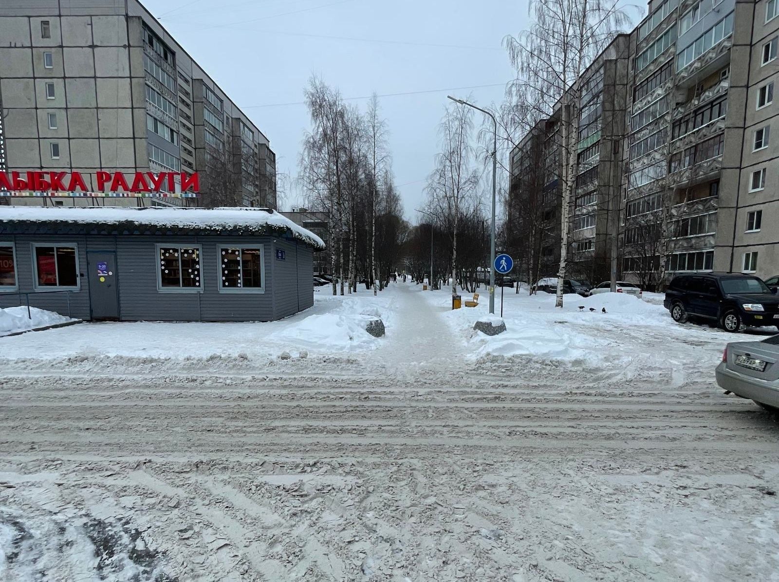 В Петрозаводске водитель сбил 77-летнюю женщину и скрылся