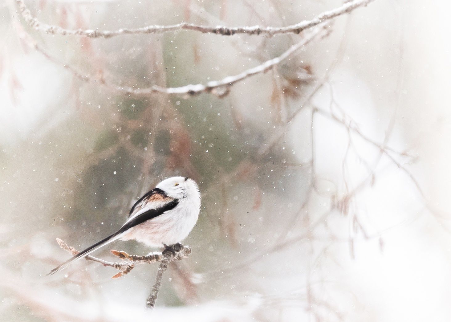 Мокрый снег, гололедица. Прогноз погоды на 1 марта