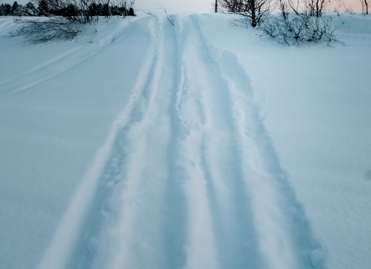 Администрацию Пряжинского района обязали взять на баланс бесхозную дорогу