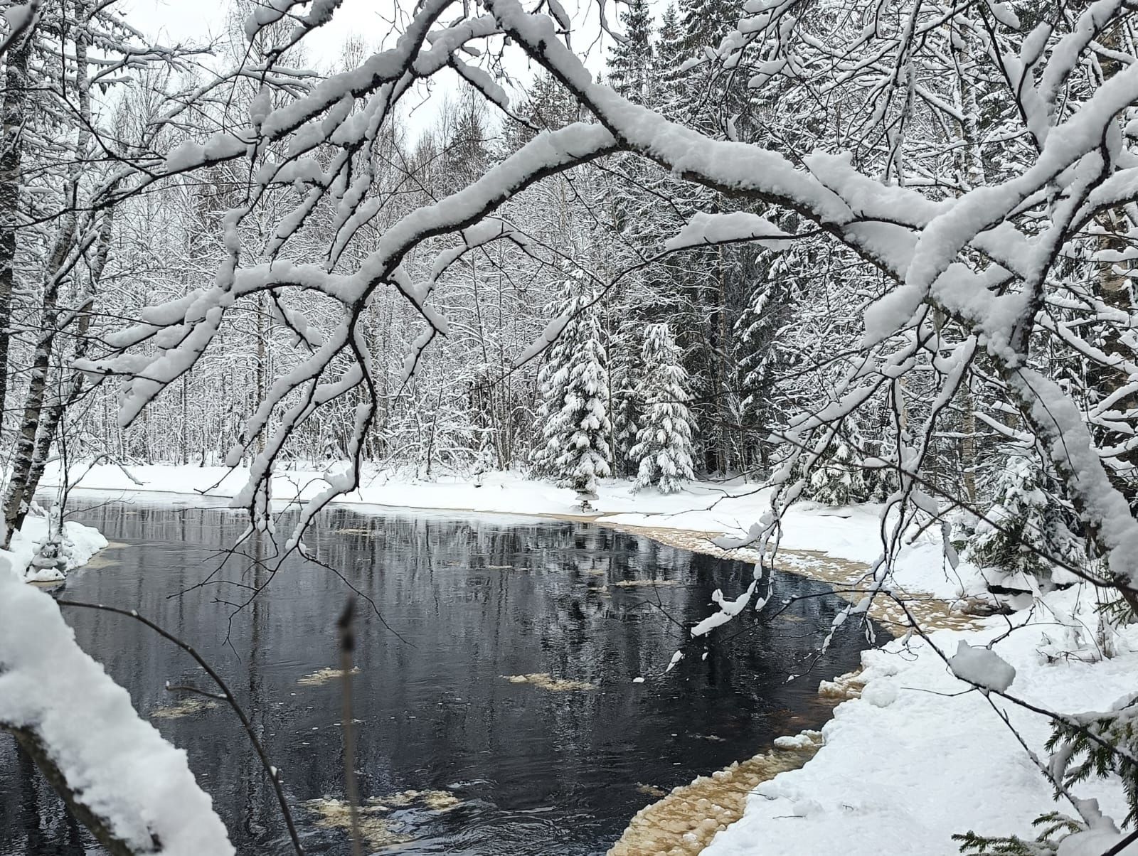 Без существенных осадков. Прогноз погоды в Карелии на 21 февраля