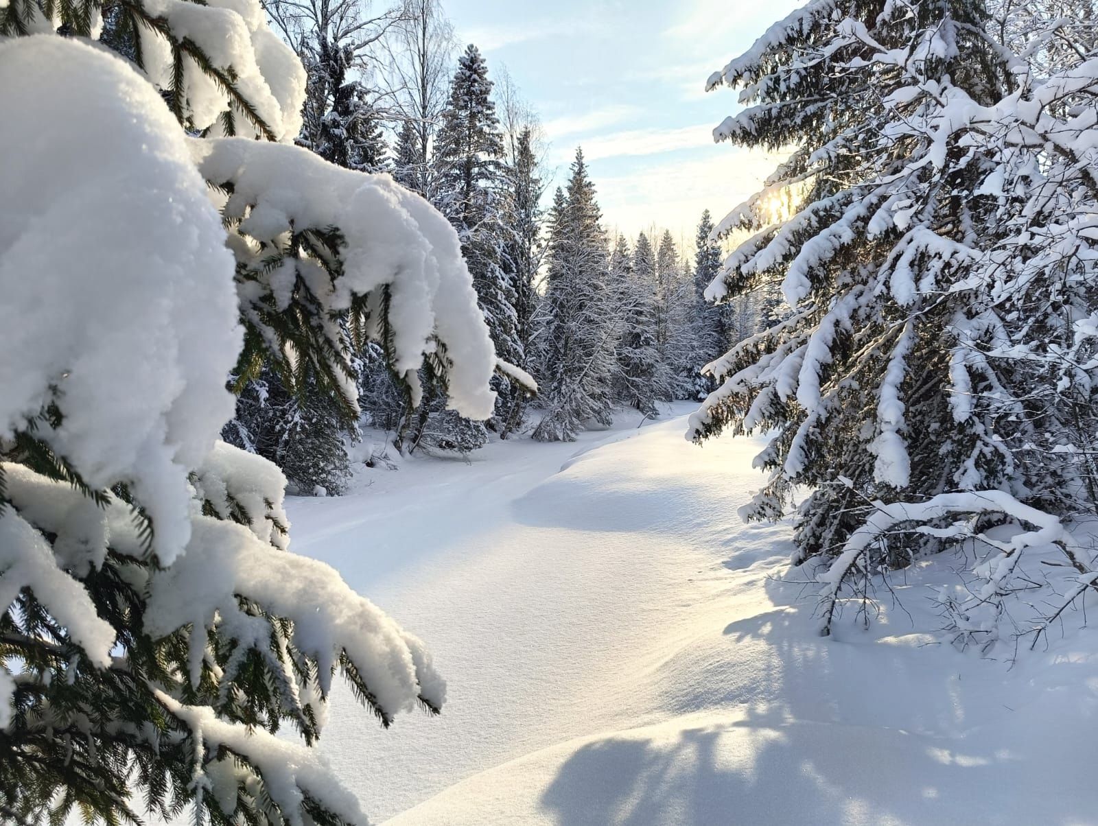 Местами  до -10°С, гололедица. Прогноз погоды на 24 февраля