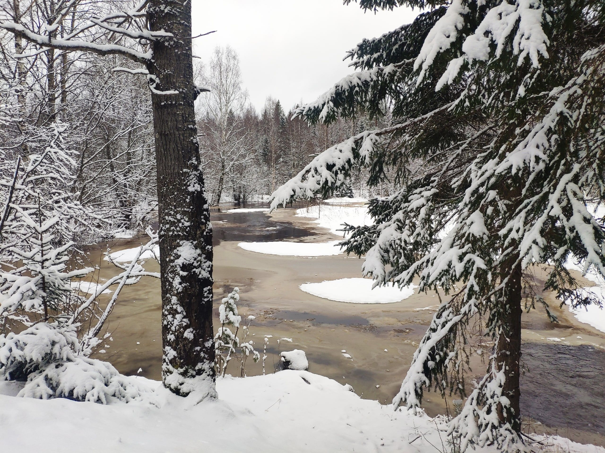 Гололедица и +3°С. Прогноз погоды в Карелии на 3 марта