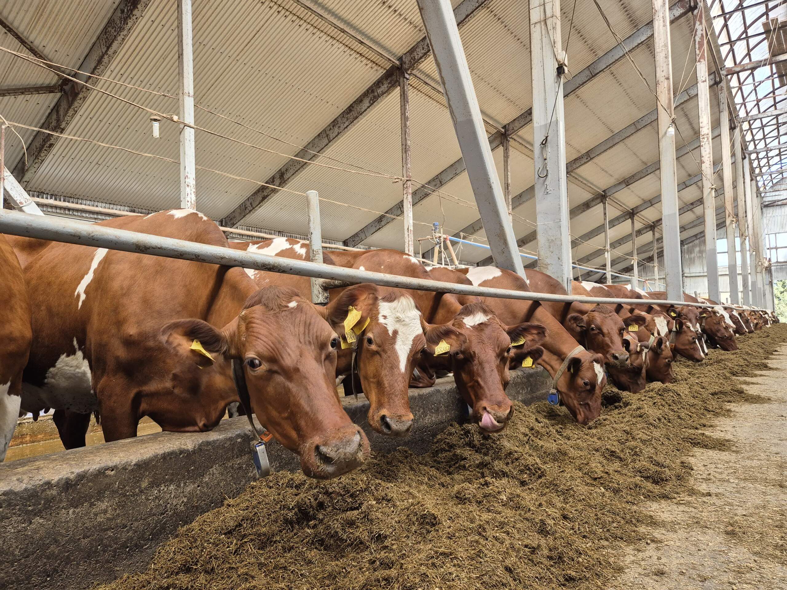 Карелия добилась успехов в сельском хозяйстве и рыбной отрасли
