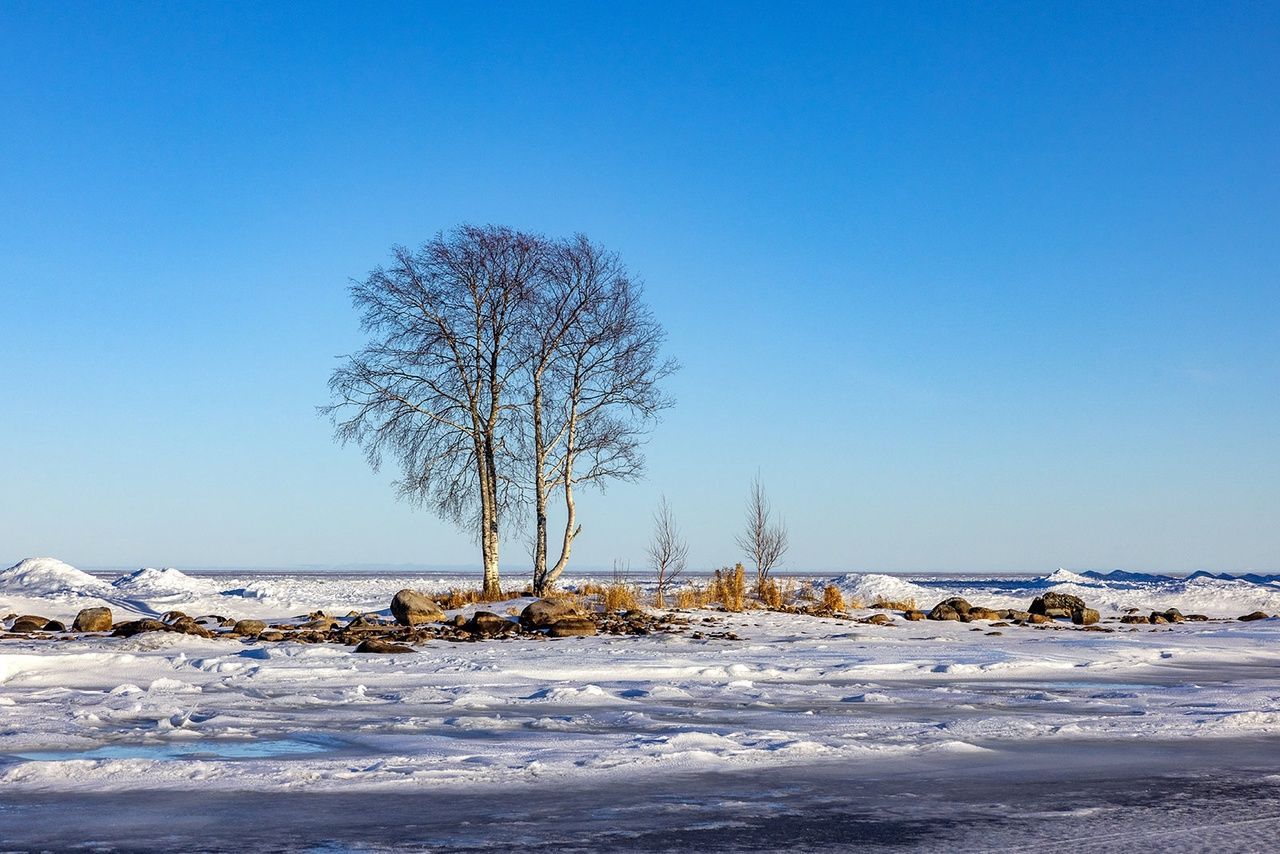 Карельские синоптики рассказали о погоде на неделю