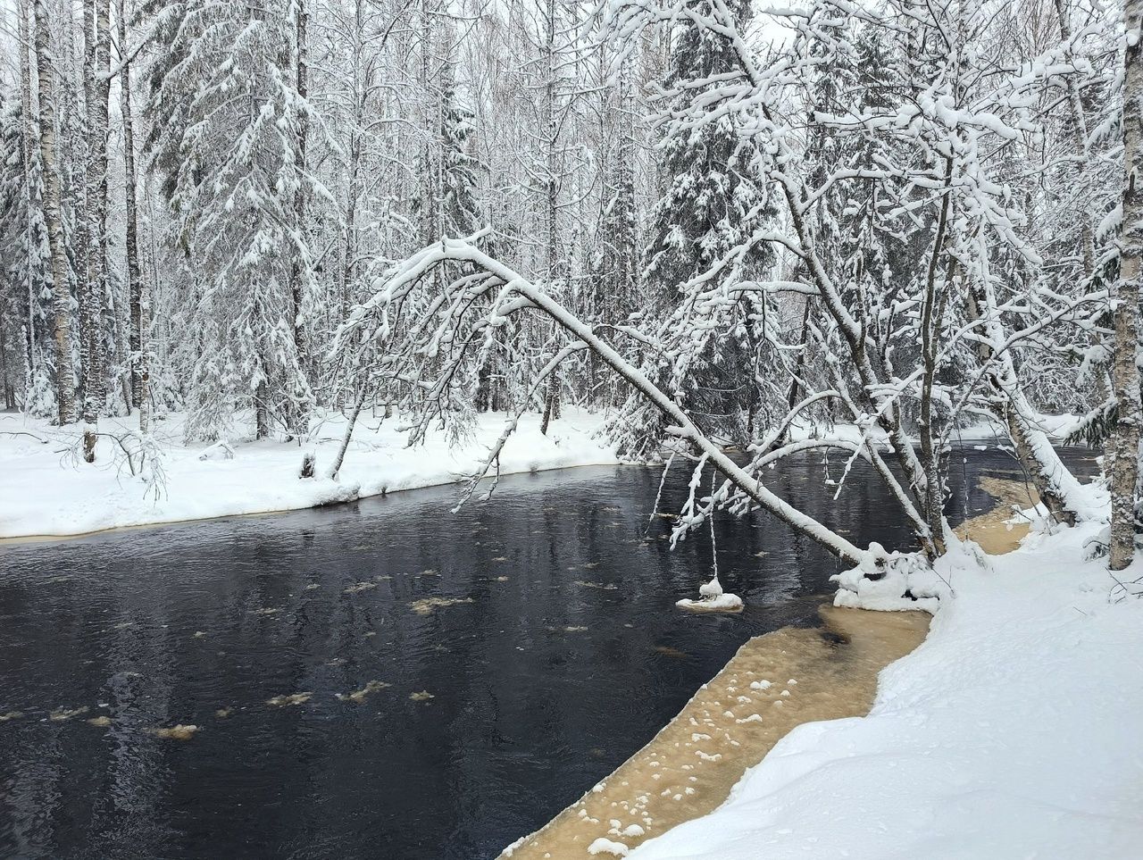 Мокрый снег и порывистый ветер. Прогноз погоды на 8 марта