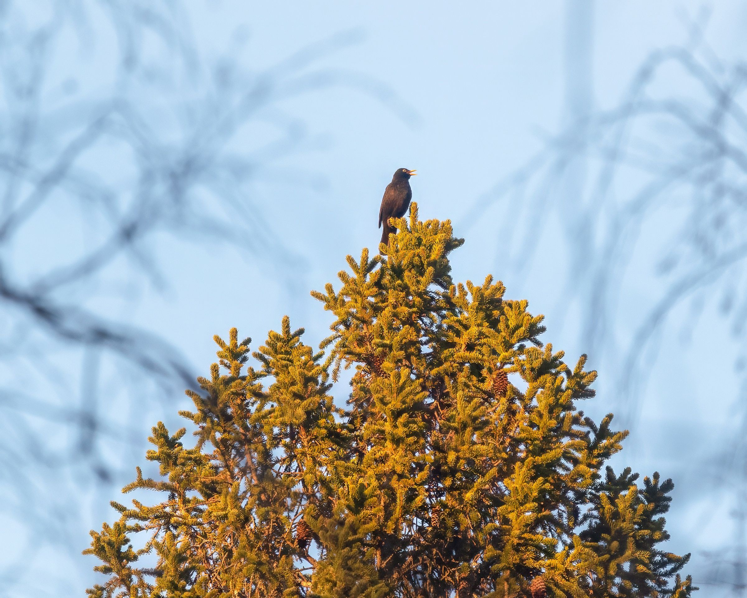 Ночью местами до -12°С, днем — до +9°С. Прогноз погоды на 27 марта