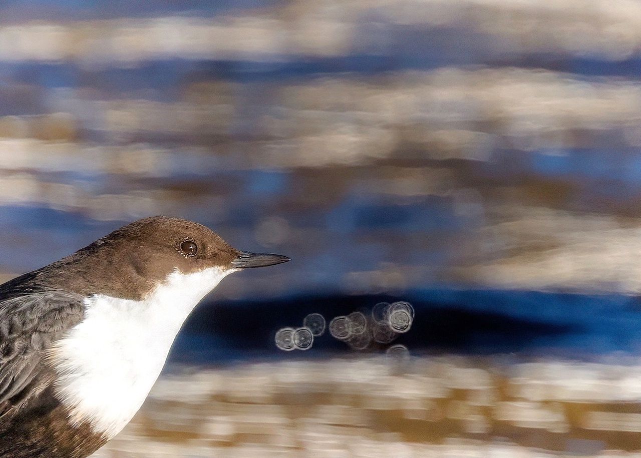 Местами небольшой дождь. Прогноз погоды на 24 марта