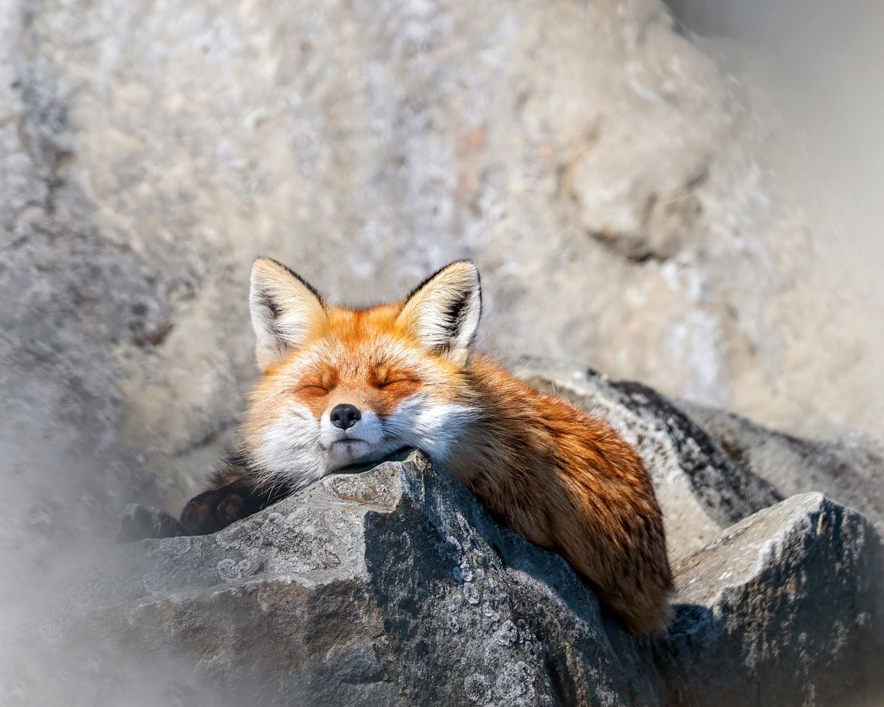 Ночью местами до -10°С, днем до +8°. Прогноз погоды на 23 марта