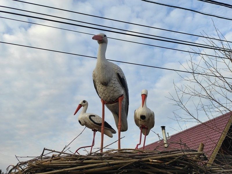 Потеплеет до +10°С: прогноз на 29 марта
