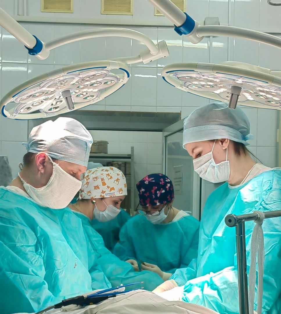 В Карелии провели сложную операцию и спасли 90-летнюю женщину