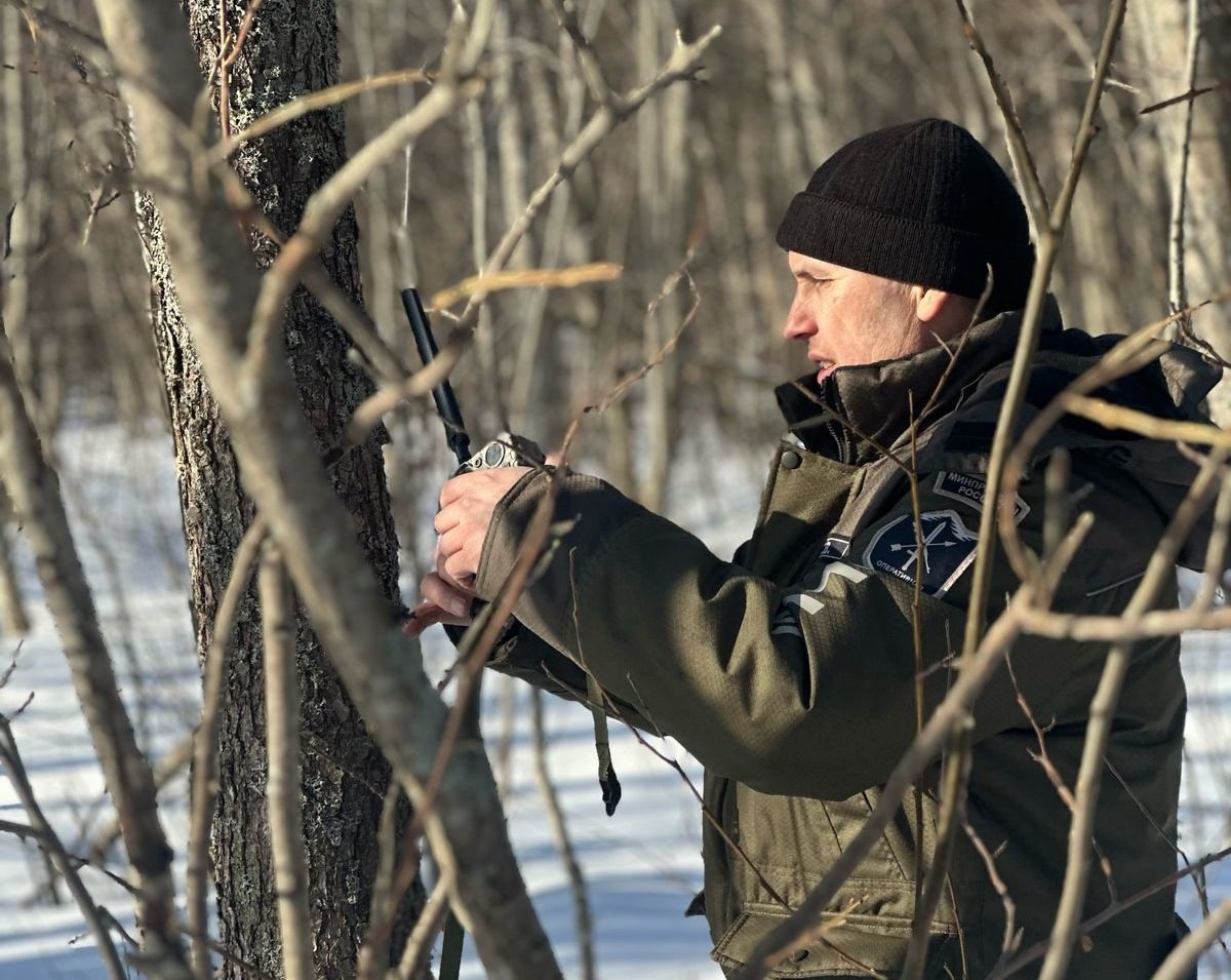 Пробуждение бурой медведицы в Кижском заказнике снимут на фотоловушки