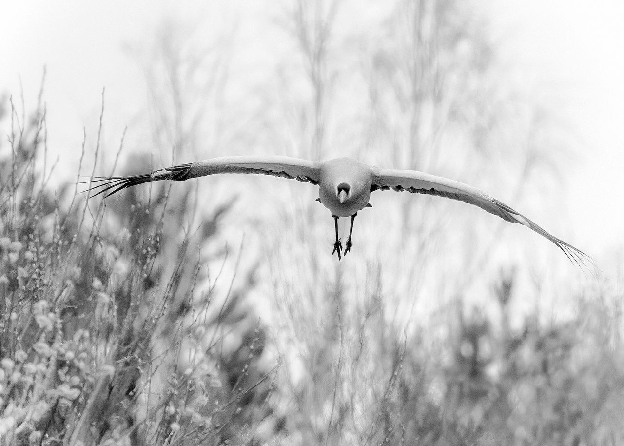 Местами до -20°С. Прогноз погоды на 22 марта