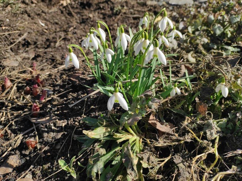 Пришло тепло: прогноз погоды на 26 марта