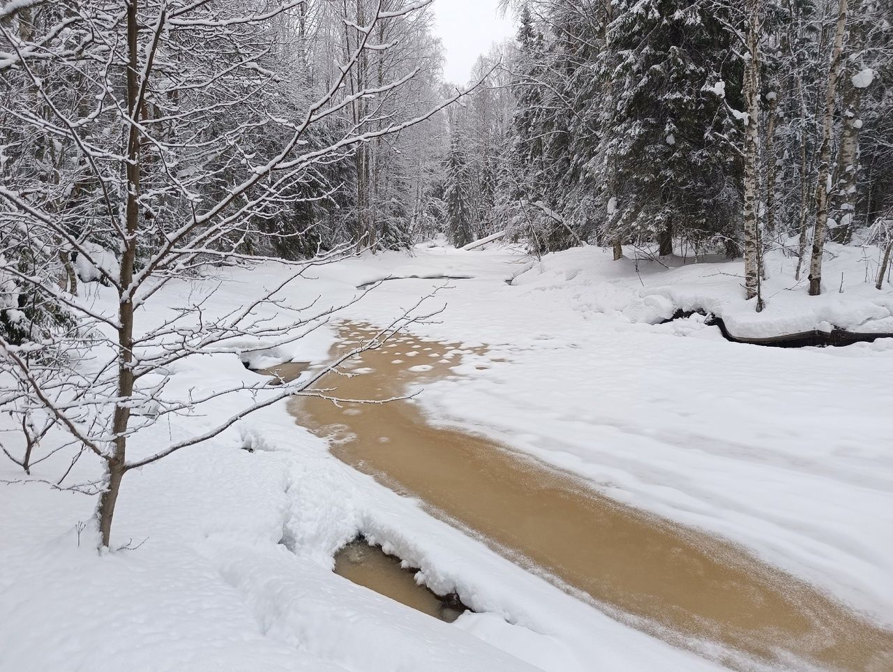 По северным районам местами до -20°С. Прогноз погоды на 14 марта
