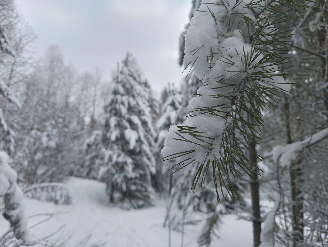 Сильный снег и гололедица. Прогноз погоды на 5 марта
