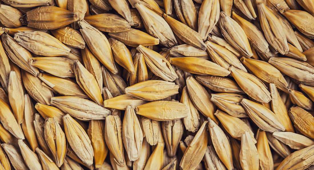 В Карелию завезли 250 тонн недостоверно задекларированного зерна