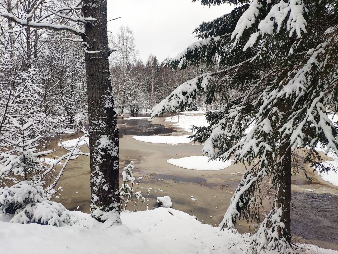 Карельские синоптики рассказали о погоде на 8 марта