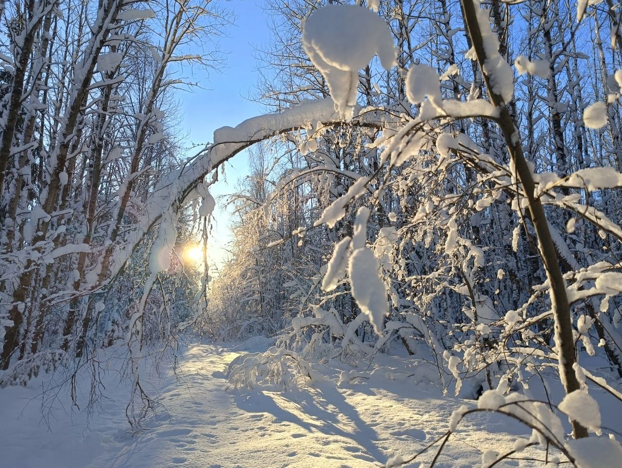 Карельские синоптики сделали прогноз на март