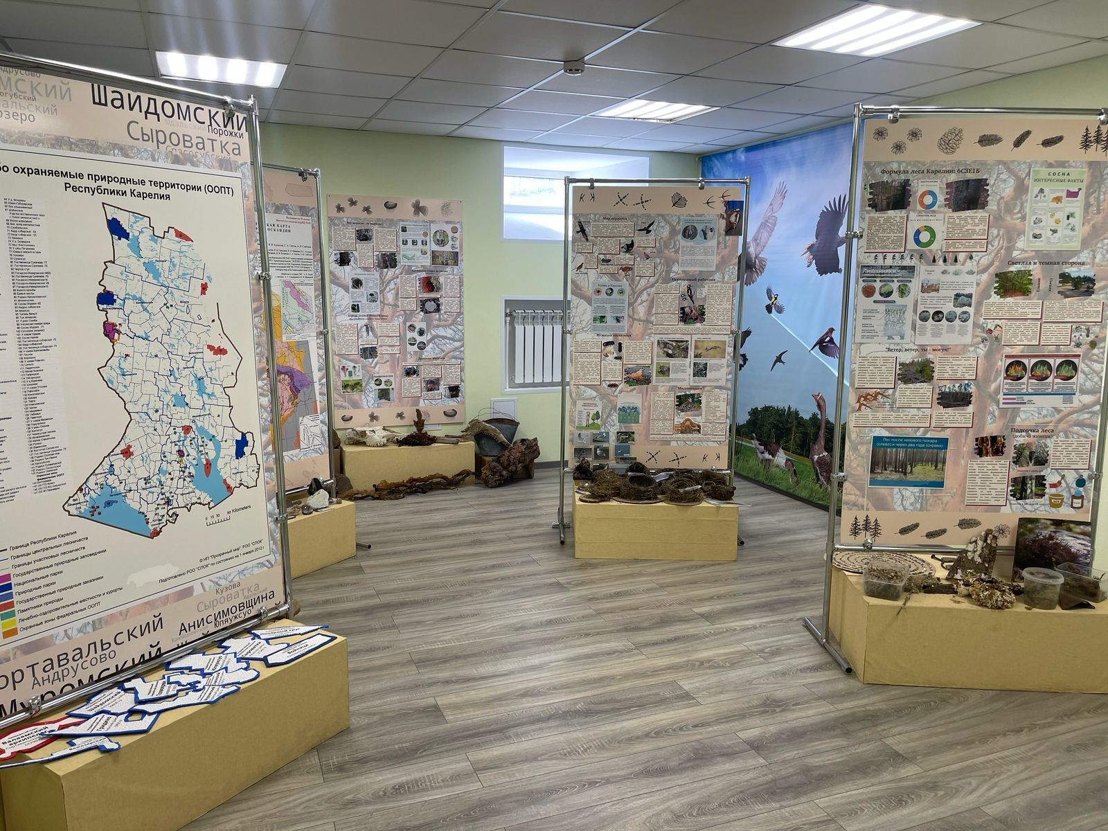 В Петрозаводске открылся обновленный интерактивный центр природы Карелии