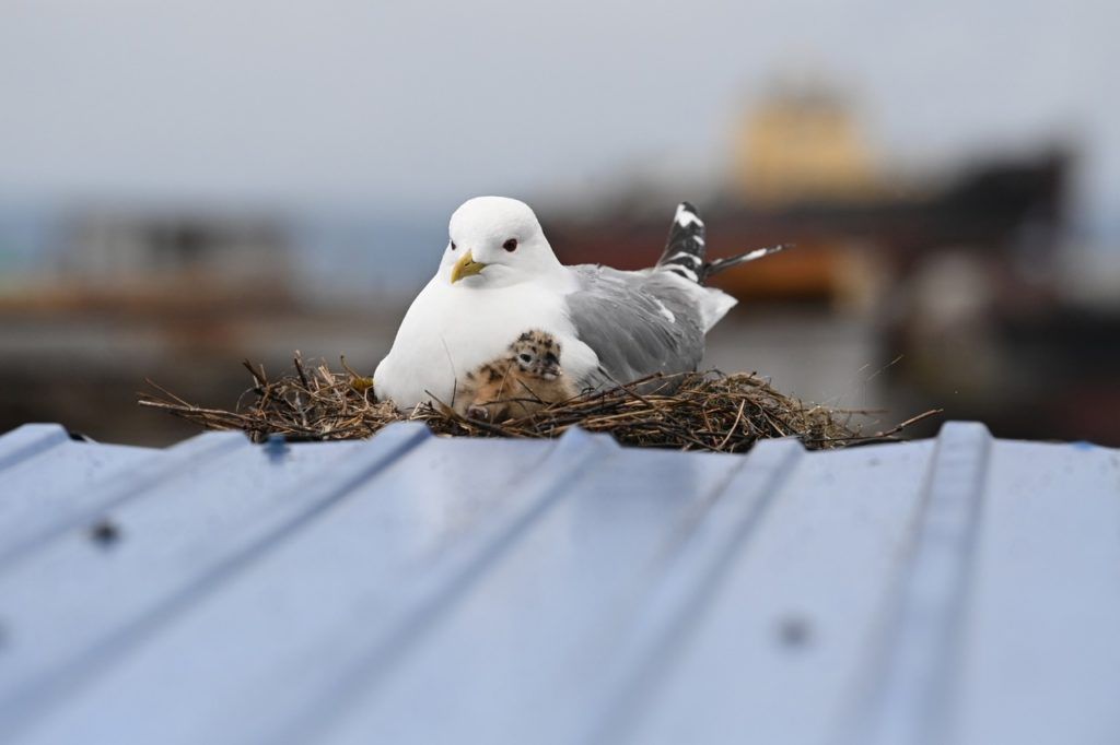 Робкое тепло и ночные заморозки: прогноз погоды на 30 апреля