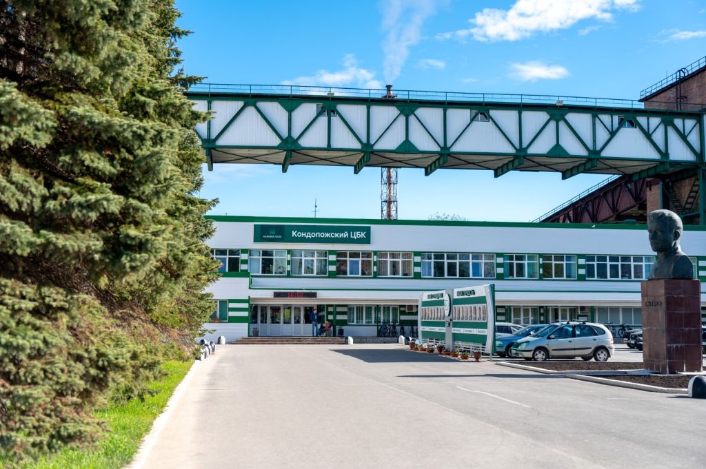 «Карелия Палп» меняет стратегию в ответ на рыночные вызовы