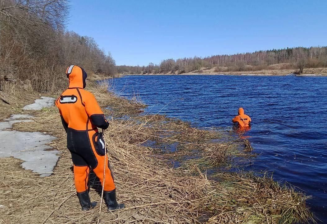 Волонтеры из Карелии отправятся на поиски ребенка в Ленобласть