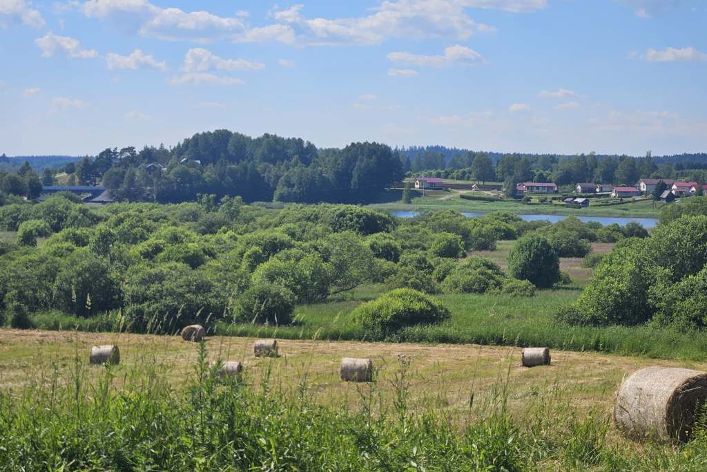 Тысячи кв. м земли без торгов предлагают в Суоярвском районе Тысячи кв. м земли без торгов предлагают в Суоярвском районе
