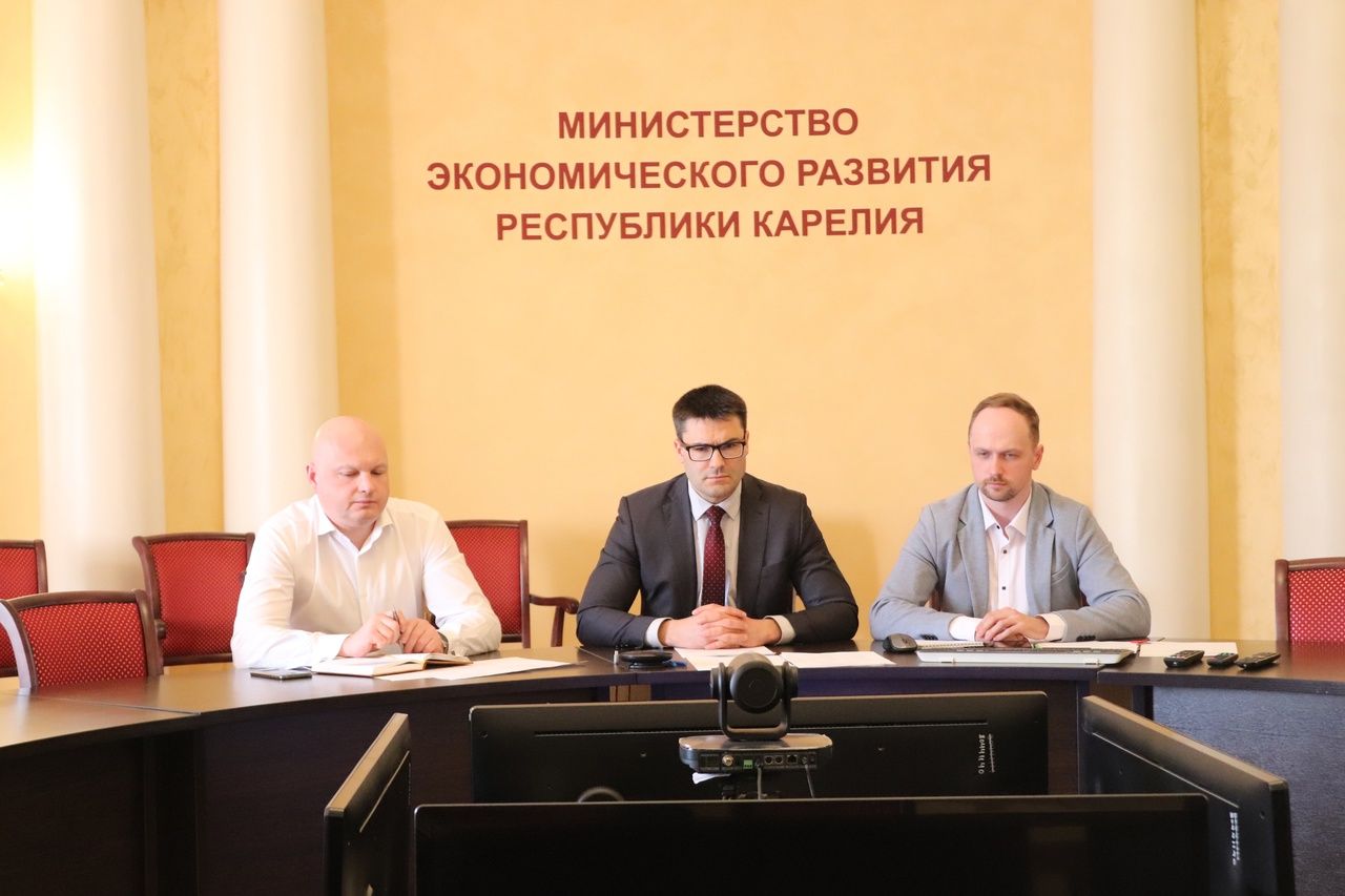 Министр экономики Карелии провёл онлайн-встречу с коллегой из ЮАР