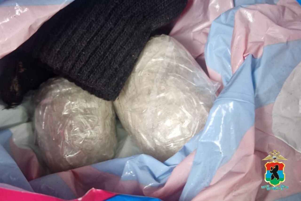 Карельские полицейские перекрыли наркотрафик из Петербурга