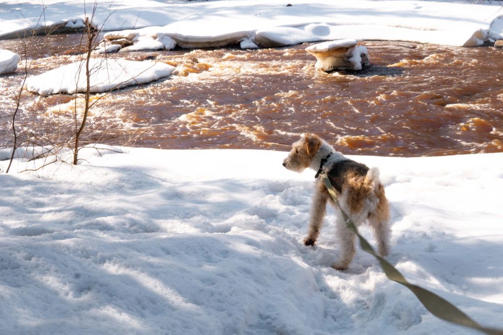 Где-то минус, где-то плюс, везде мокро: прогноз погоды на 29 апреля