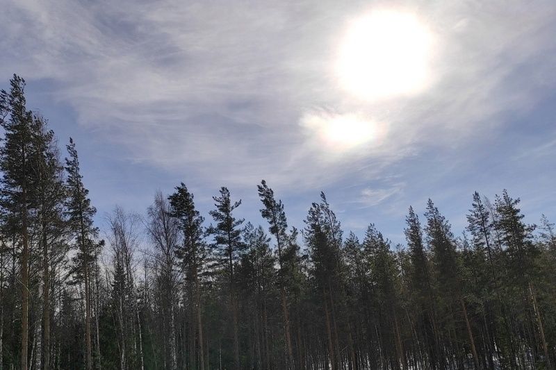 В Карелии ожидается штормовой ветер