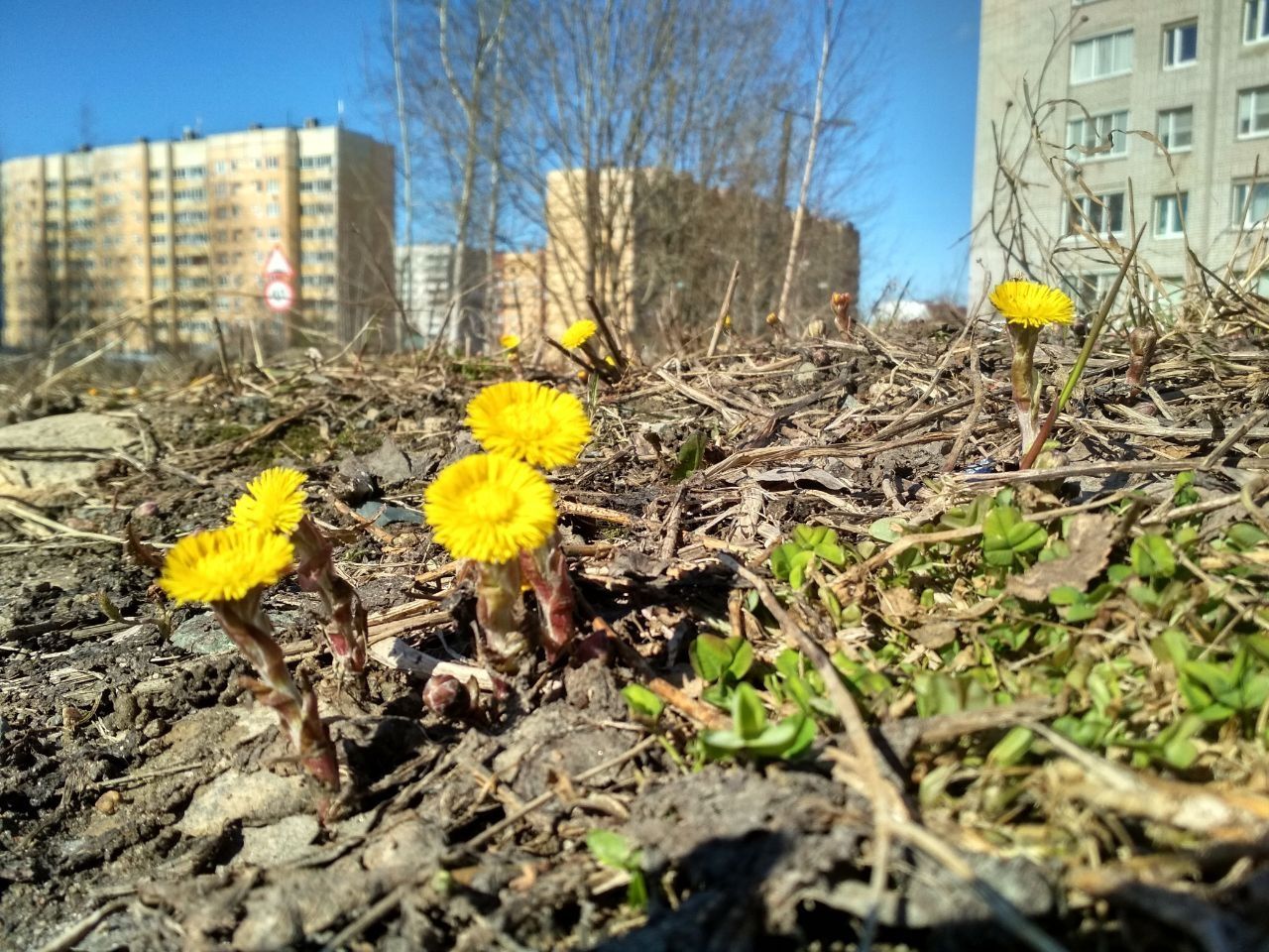 Днем до +15°С: прогноз погоды на 15 апреля