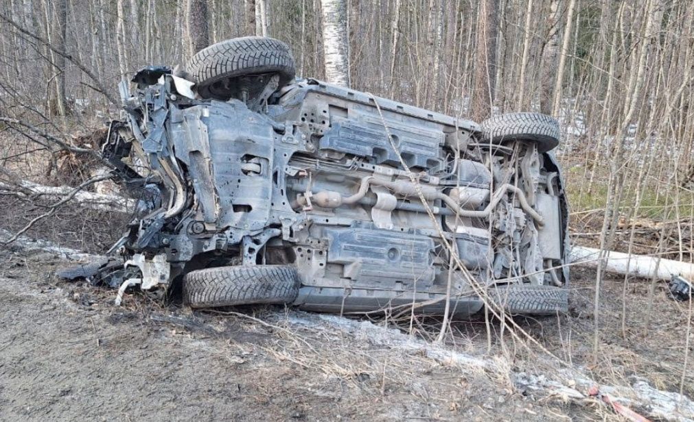 В Кондопожском районе легковой автомобиль врезался в дерево и перевернулся