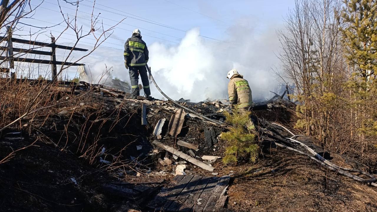 Пожар в Сосновце унес жизнь человека