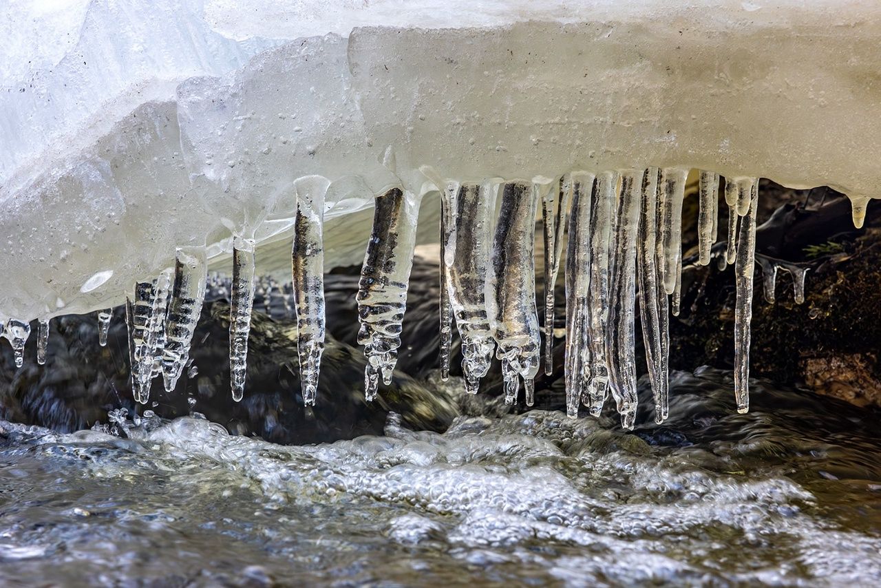 Температура ночью в Карелии местами опустится до -15°С. Прогноз погоды на 8 апреля