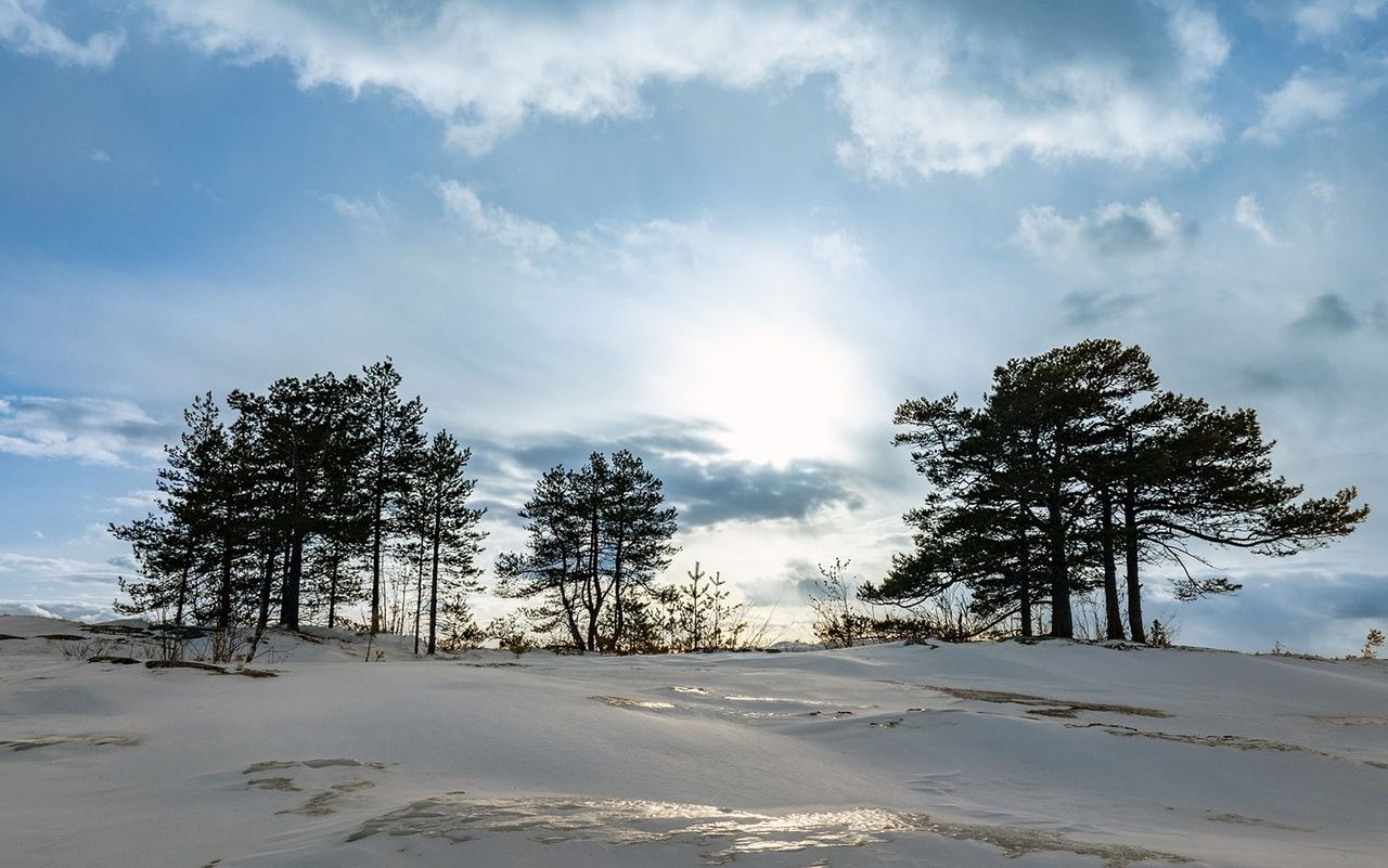 Тепло и без осадков. Прогноз погоды на 2 апреля