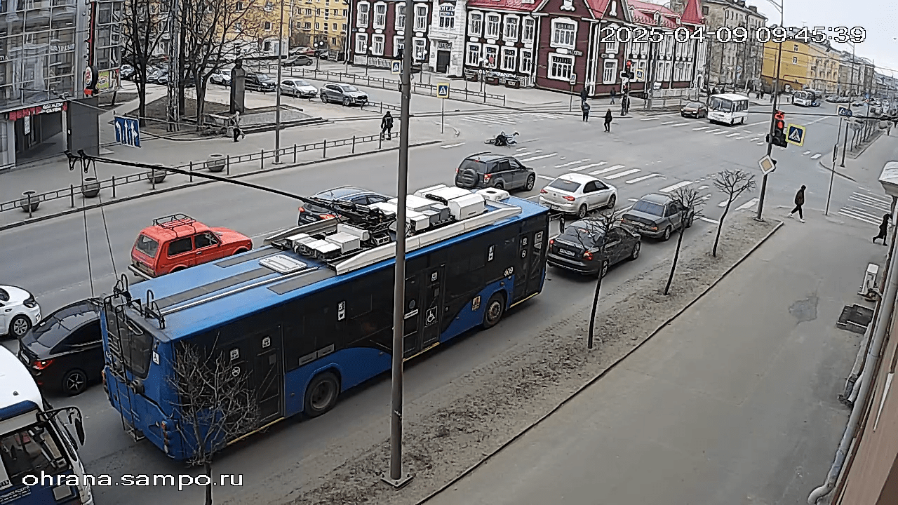 Велосипедист сбил собаку на пешеходном переходе в Петрозаводске