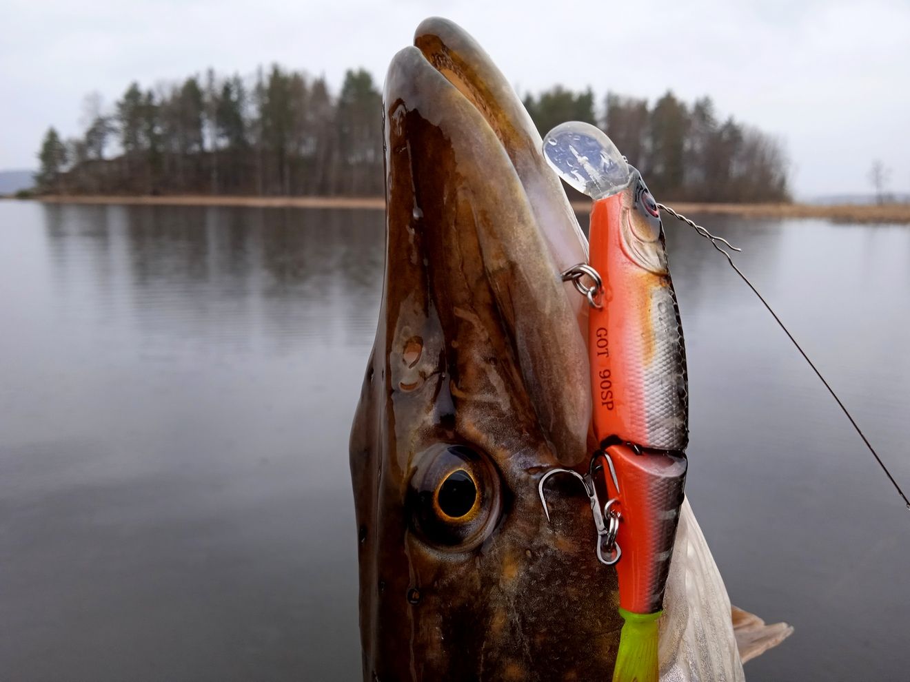 Ловля щуки после нереста