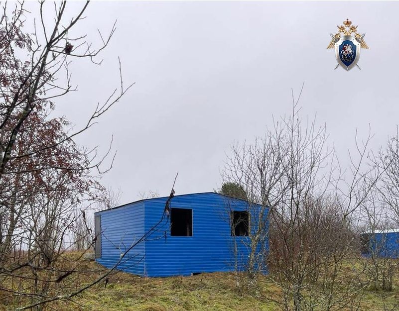 Жители Кондопожского района взяли в аренду 7 земельных участков, чтобы выгодно их продать