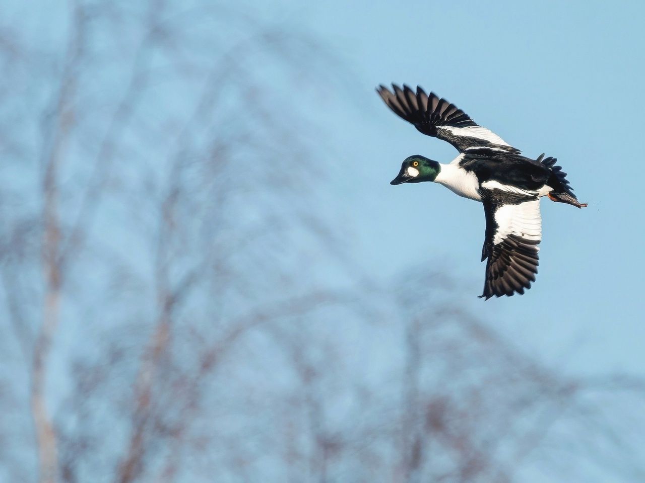 Небольшой дождь, местами мокрый снег. Прогноз погоды на 20 апреля