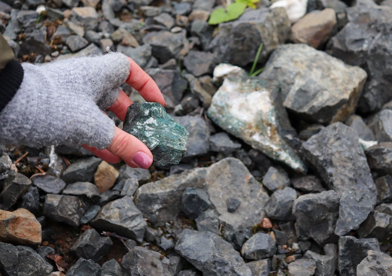 Застывшую лаву и фрагменты дна древнего моря покажут на выставке в Нацбиблиотеке