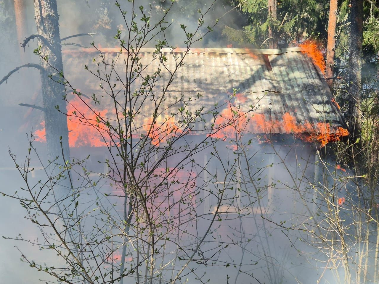 Дом вспыхнул в Приладожье Карелии