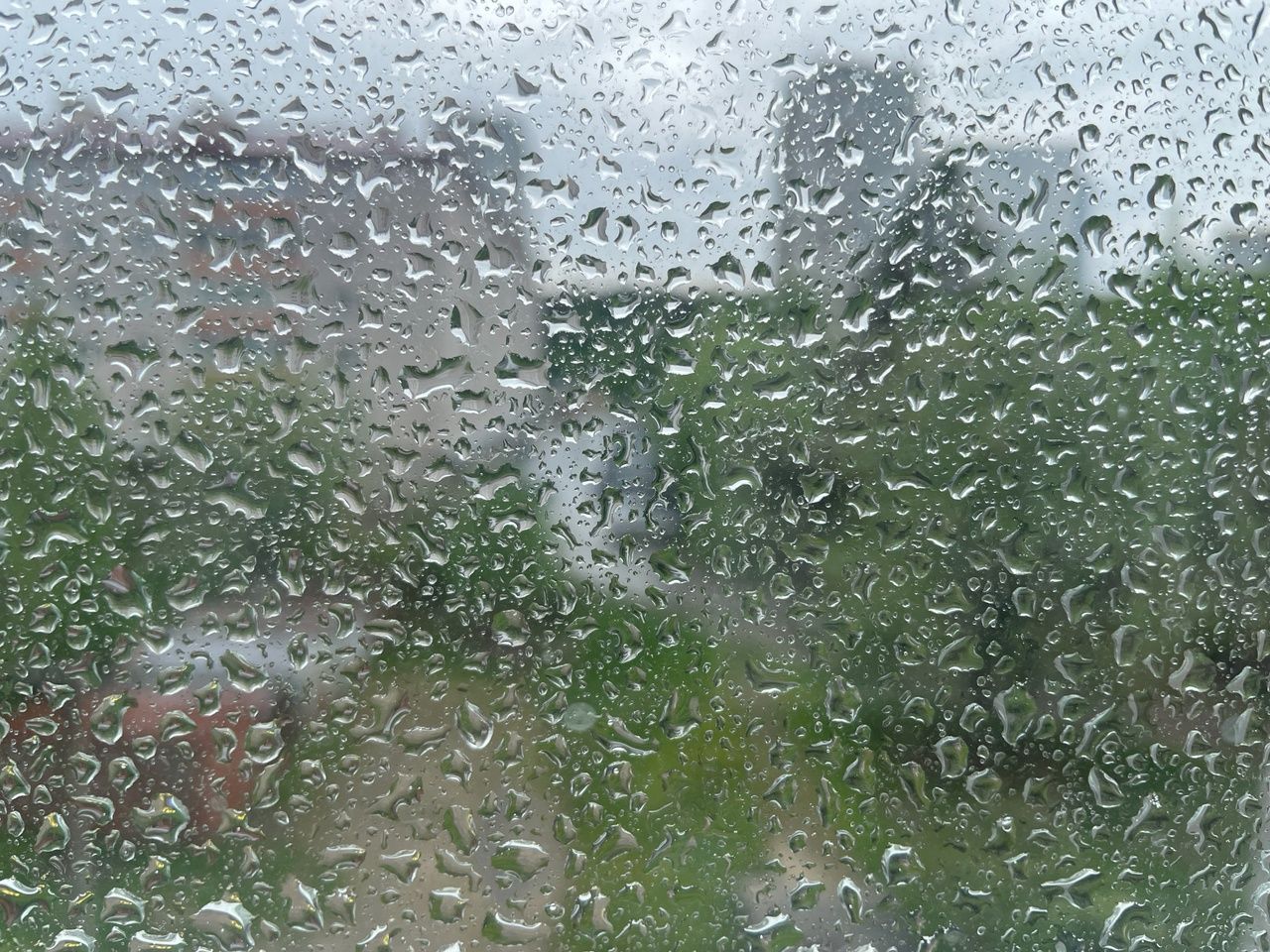 Сыростью за окном Карелия обязана «Оле»