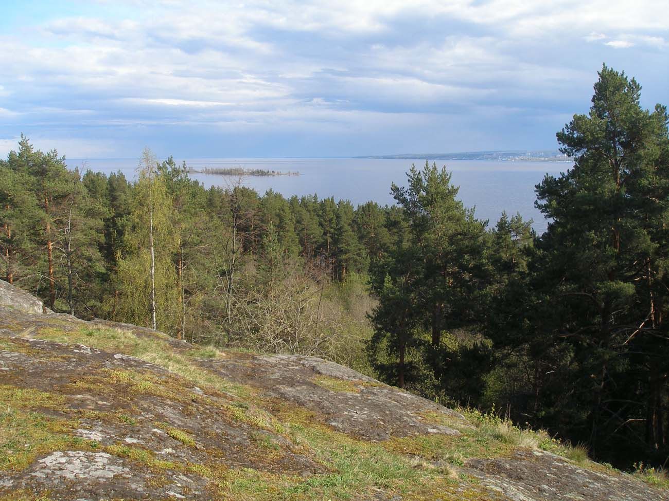 Заблудившегося в лесу мужчину спасли под Петрозаводском