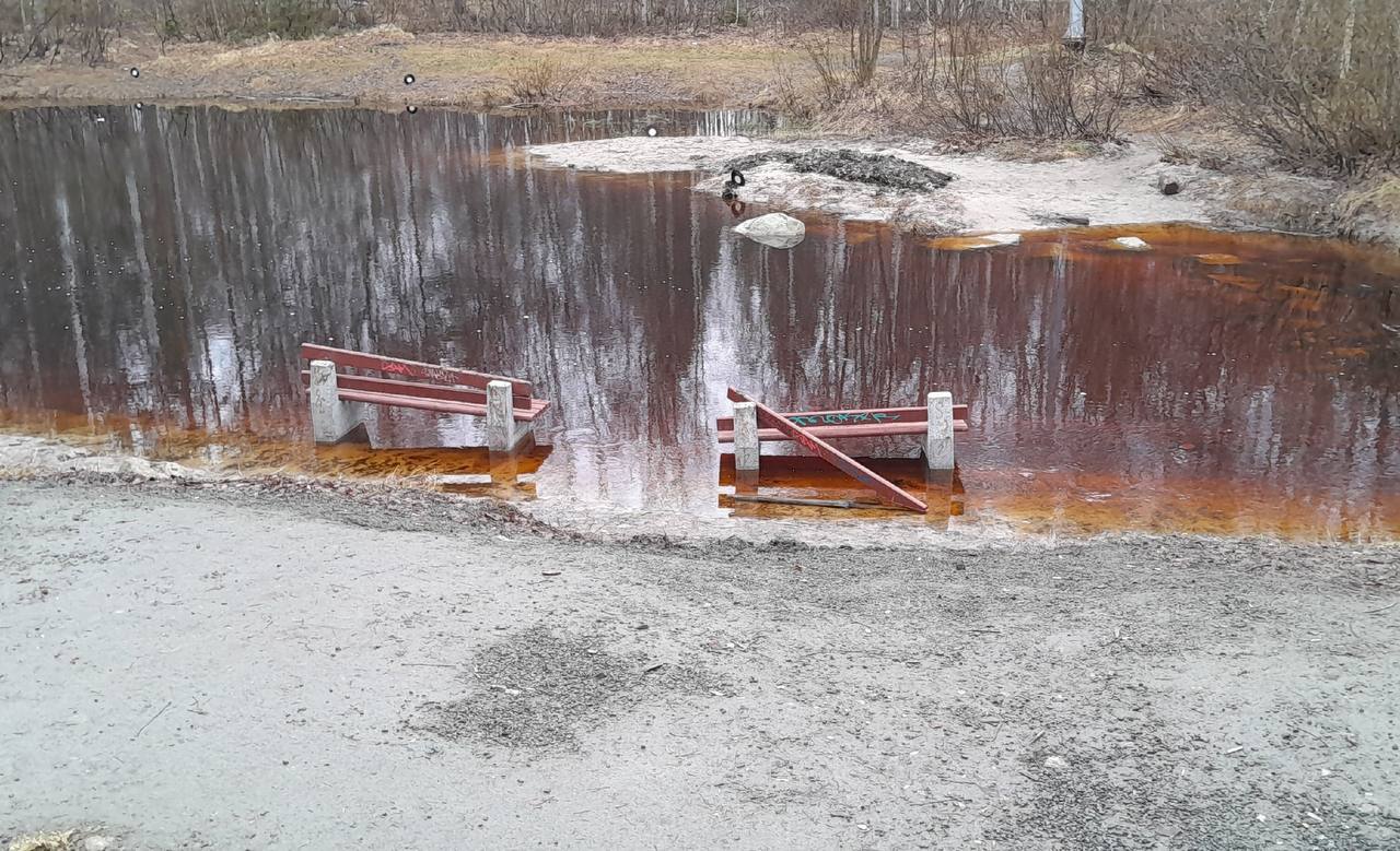 Вандалы разгромили парк \
