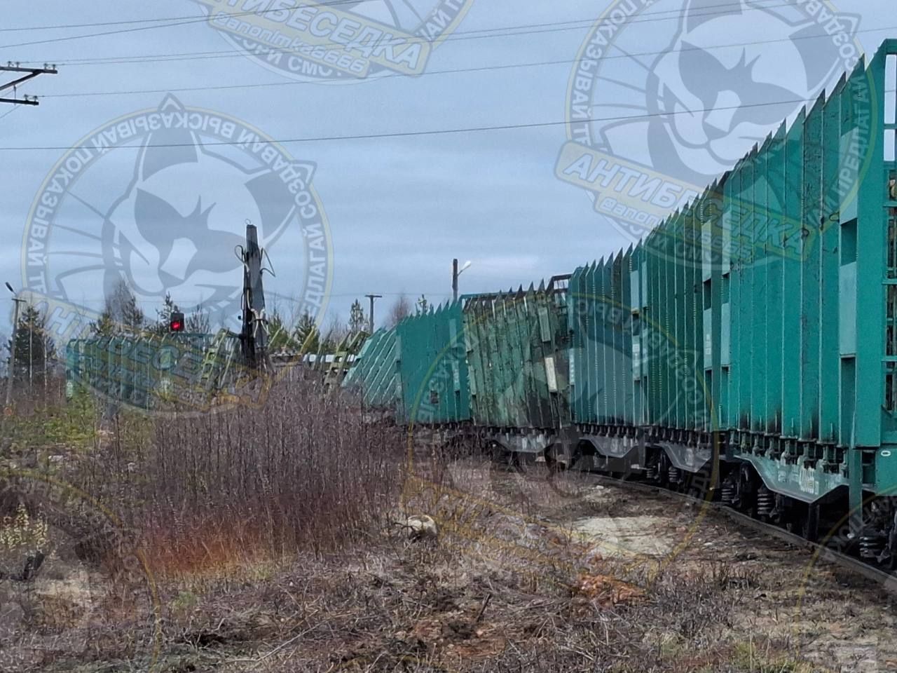 Грузовой поезд сошел с рельсов в Муезерском районе Грузовой поезд сошел с рельсов в Муезерском районе