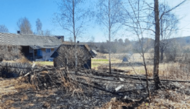 Сухая трава горела рядом с жилыми постройками в Ведлозере