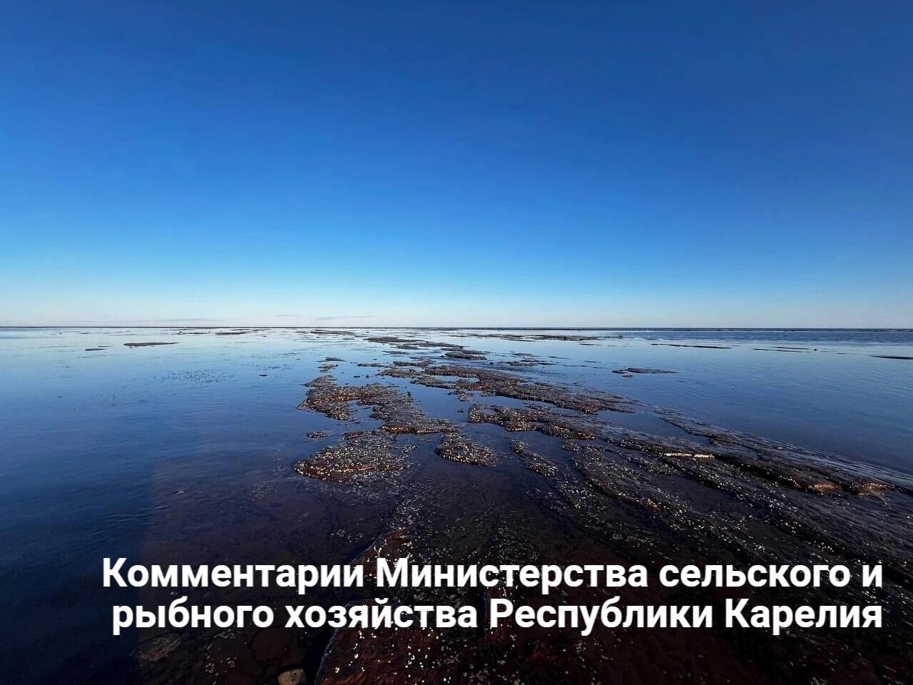 Жалобы на свалку рыбных отходов поступили в надзорные органы