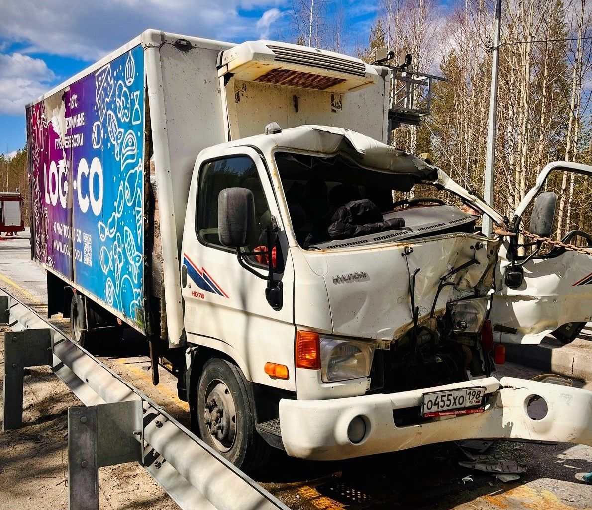 Увезли на скорой: подробности столкновения грузовиков в Сегеже (фото)