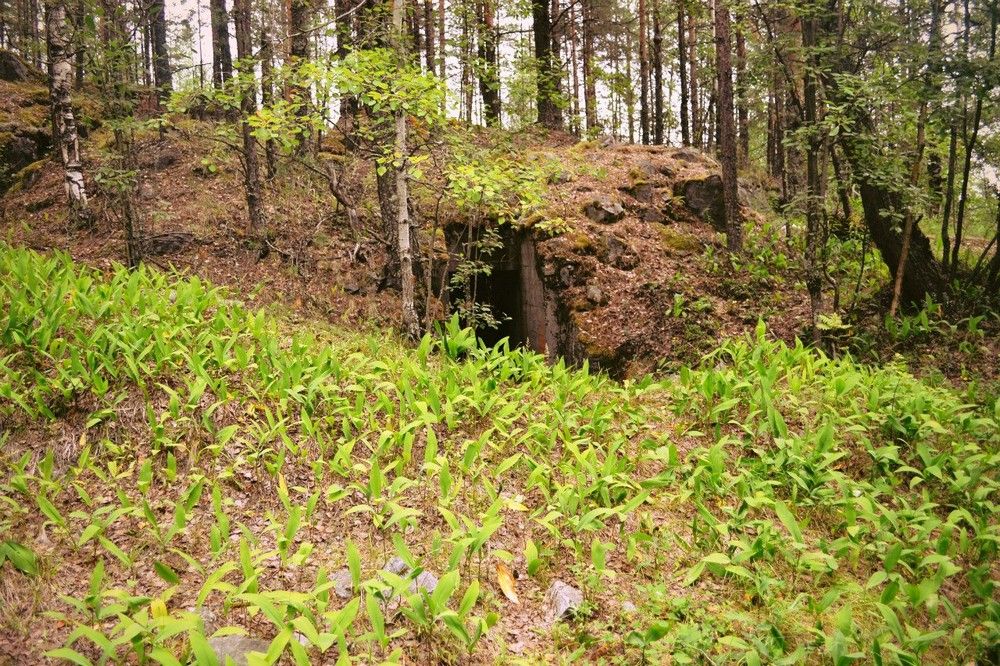 Доступ к военному памятнику в Карелии разделили на платный и бесплатный